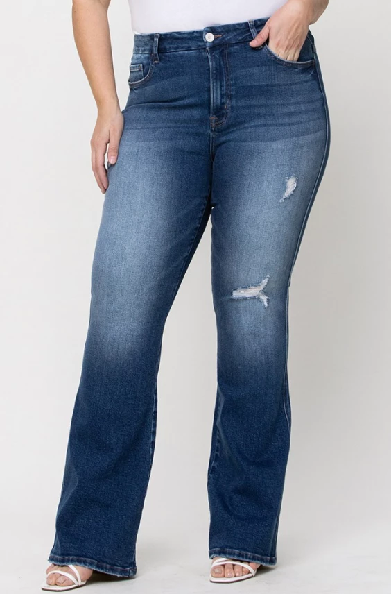 Curvy Vervet Vada Flare 4 Curvy Vervet Vada Flare