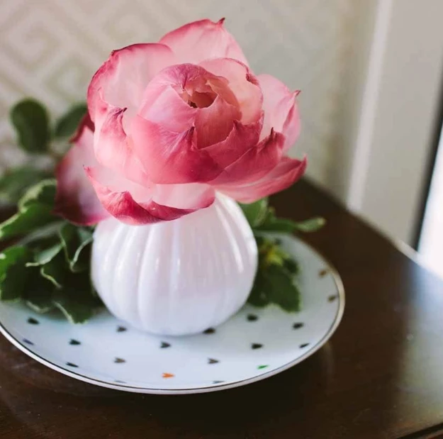 Bridgewater Candle Company Sweet Grace Flower Diffuser 5 Bridgewater Candle Company Sweet Grace Flower Diffuser