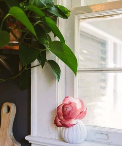 Bridgewater Candle Company Sweet Grace Flower Diffuser