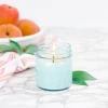 Antique Candle Co Georgia Peach 8 Oz Blue Jar Candle Antique Candle Company 1 Antique Candle Co Georgia Peach 8 Oz Blue Jar Candle Antique Candle Company